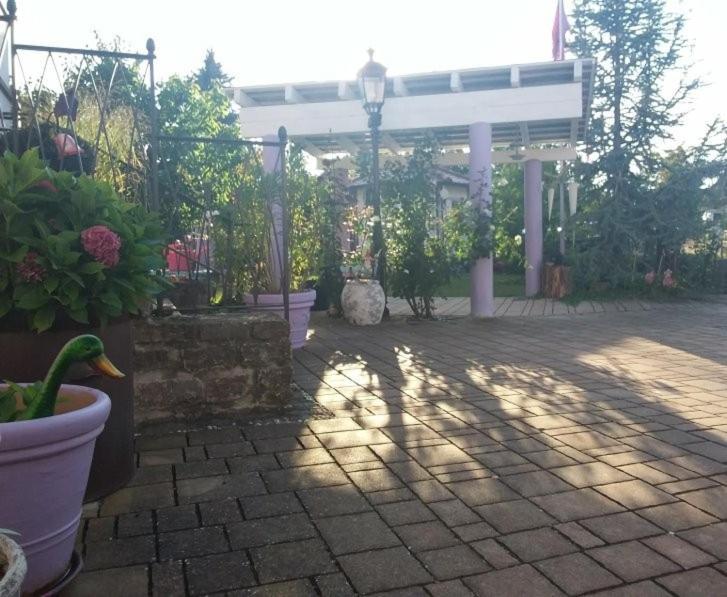 Villa Lila 索梅拉 外观 照片