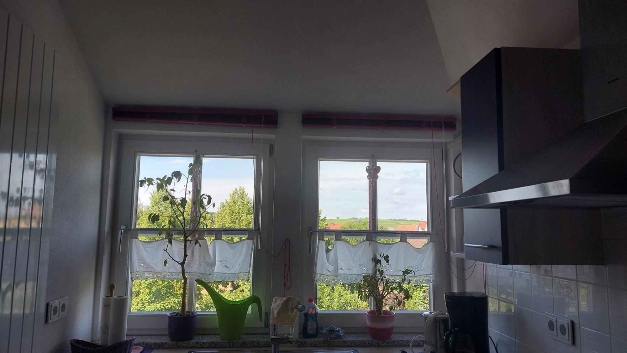 Villa Lila 索梅拉 外观 照片